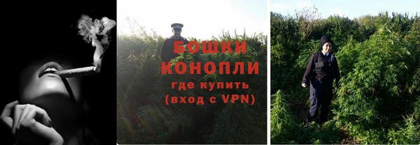 спайс Карпинск