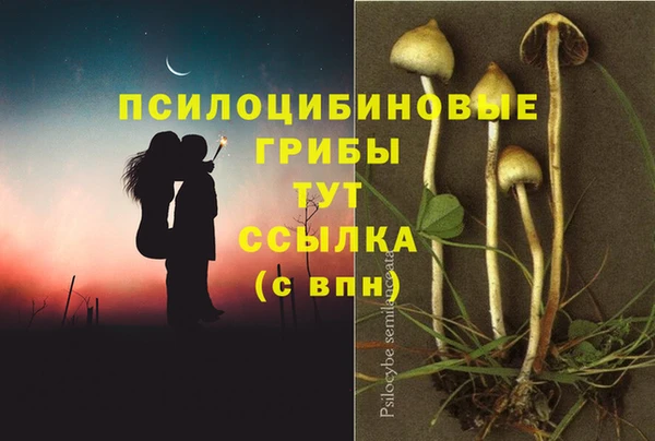 гашик Каменногорск